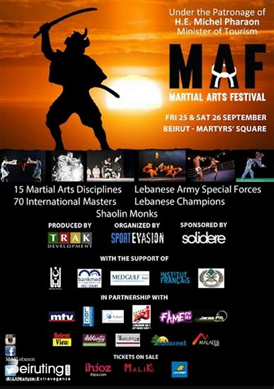 festival artes marciales